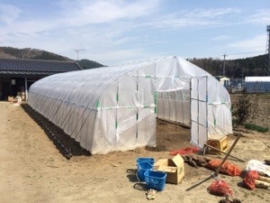 20140330-231203.jpg