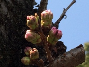 20140330-231328.jpg