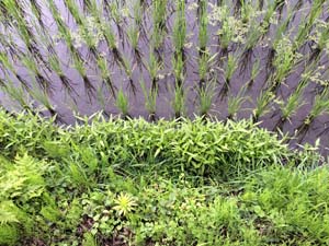 IMG_0890.JPG
