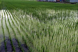 IMG_0894.JPG