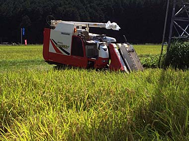 IMG_0976.JPG