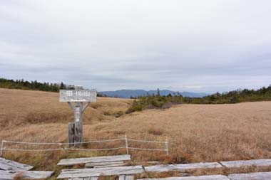 DSC_0810.JPG