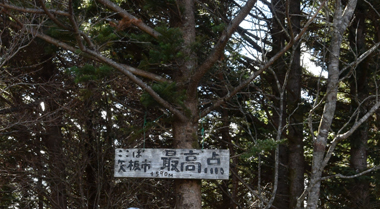 DSC_0957.JPG