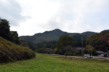 DSC_1021.JPG