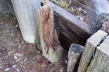 sDSC_1341.JPG