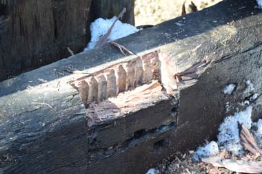 sDSC_1348.JPG