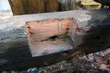 sDSC_1351.JPG