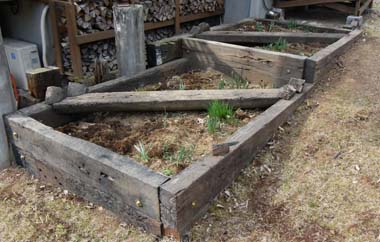 sDSC_1372.JPG