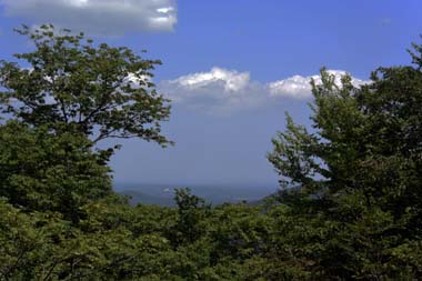 sDSC_1572.JPG