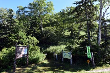 DSC_1012.JPG