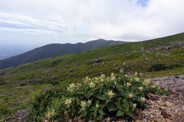 sDSC_1984_004.jpg