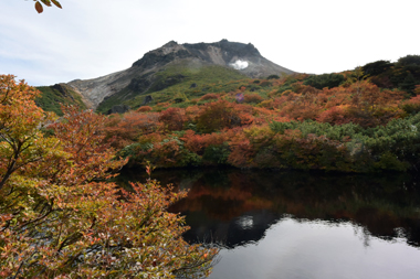 DSC_2448.JPG