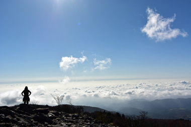 DSC_2634.JPG