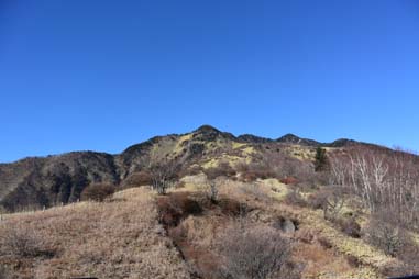 DSC_2818.JPG