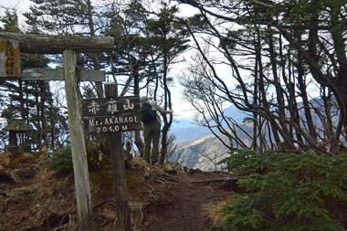 DSC_2869.JPG