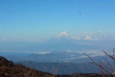 DSC_3935.jpg