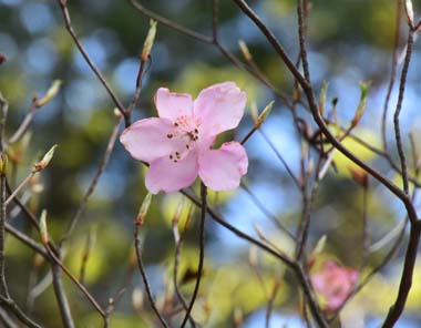 DSC_4721.JPG