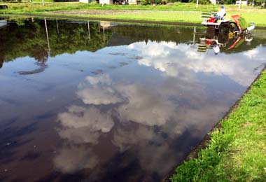 IMG_1451.JPG