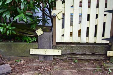 DSC_5113.JPG