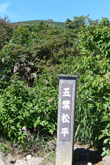 DSC_5735.JPG