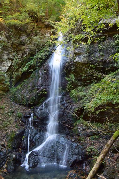 DSC_6230.jpg
