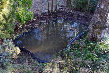 DSC_6426.jpg