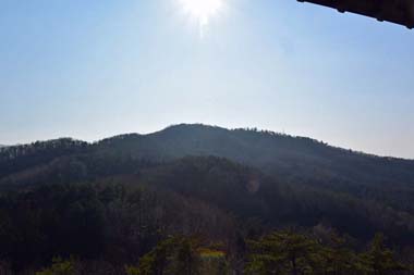 DSC_6603B.jpg