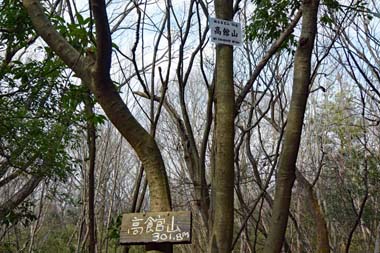 DSC_6631B.jpg