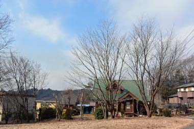 DSC_6884.JPG