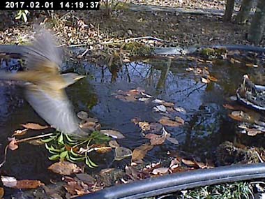 motion2017_0203.jpg