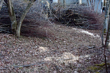DSC_7045.JPG