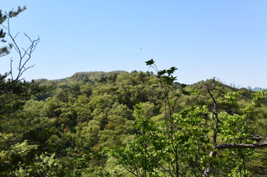 DSC_7374.JPG