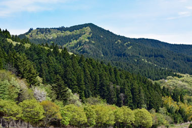 DSC_7522.JPG