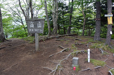DSC_7996.JPG