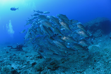 DSC_4942_100.JPG