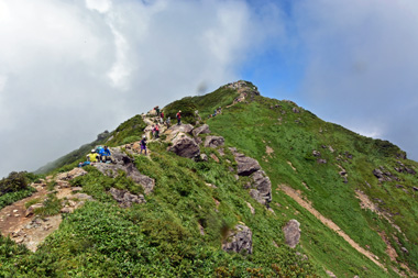 DSC_8736.JPG
