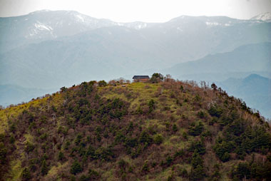 DSC_2659.JPG