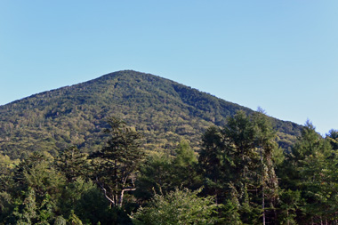 DSC_8810.JPG