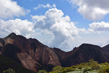 DSC_9020.JPG