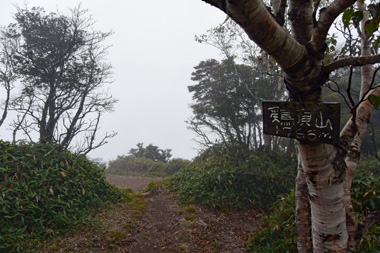 DSC_9176.JPG