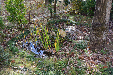 DSC_9394.jpg