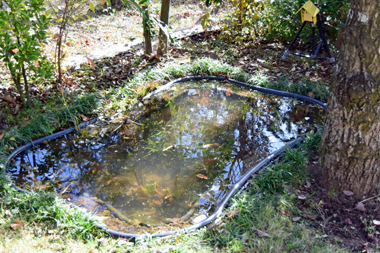 DSC_9396.jpg