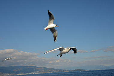 DSC_5170.jpg