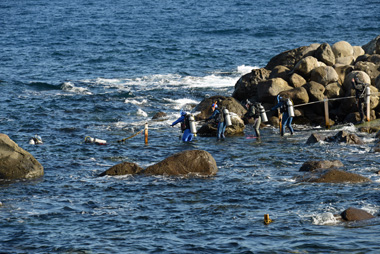 DSC_5176.jpg