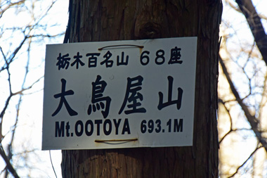 DSC_9584.jpg