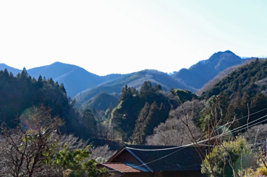 DSC_9609.jpg