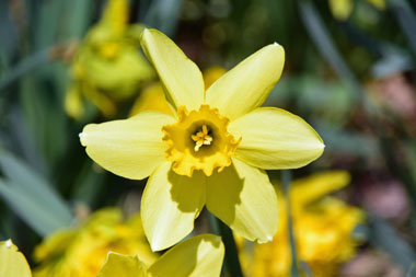 DSC_9972.jpg