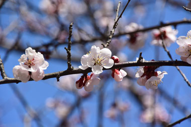 DSC_9979.jpg