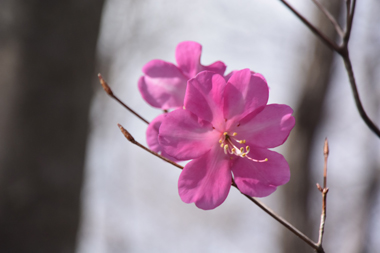 DSC_0067.jpg