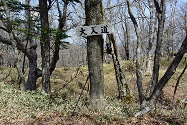 DSC_0157.jpg